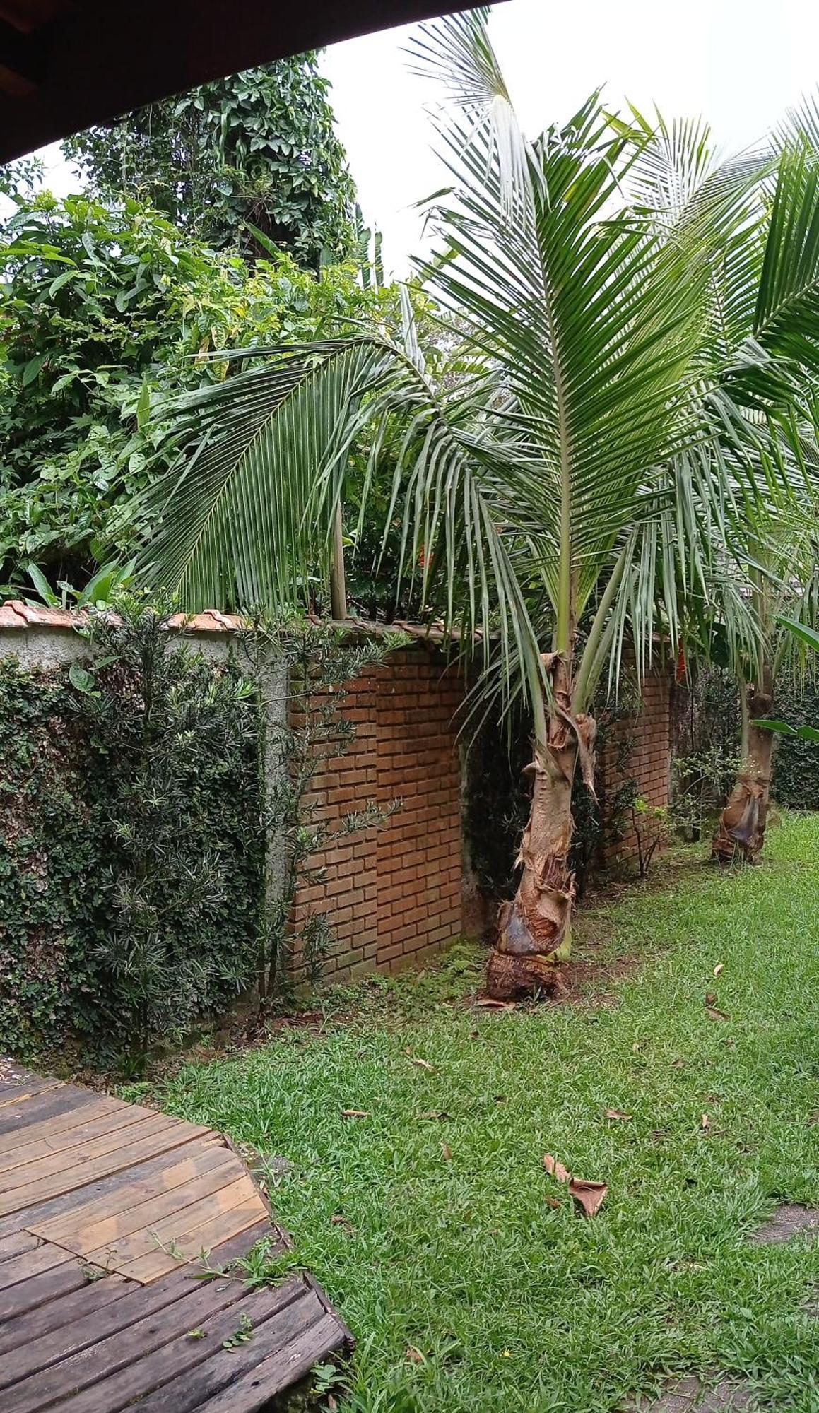 Casa Dos Coqueiros Praia De Camburi, Condominio Camburi  Exteriér fotografie